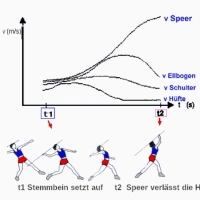 Physik des Sports